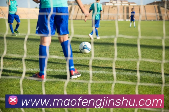 博亚体育APP 封面图