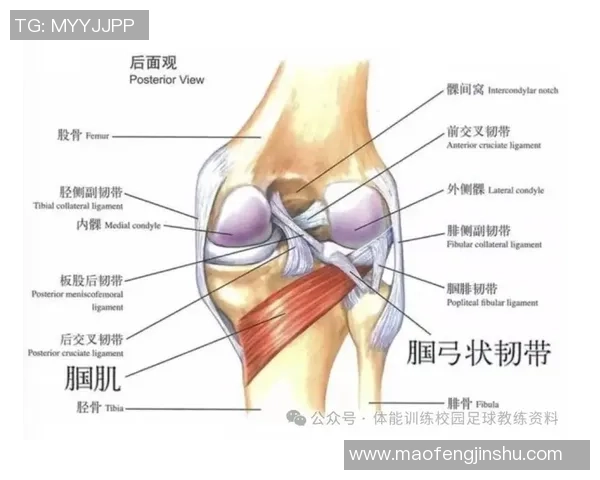 外媒报道马内已恢复训练伊尼戈肌肉疼痛待进一步评估