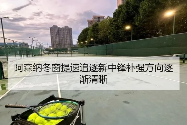 阿森纳冬窗提速追逐新中锋补强方向逐渐清晰